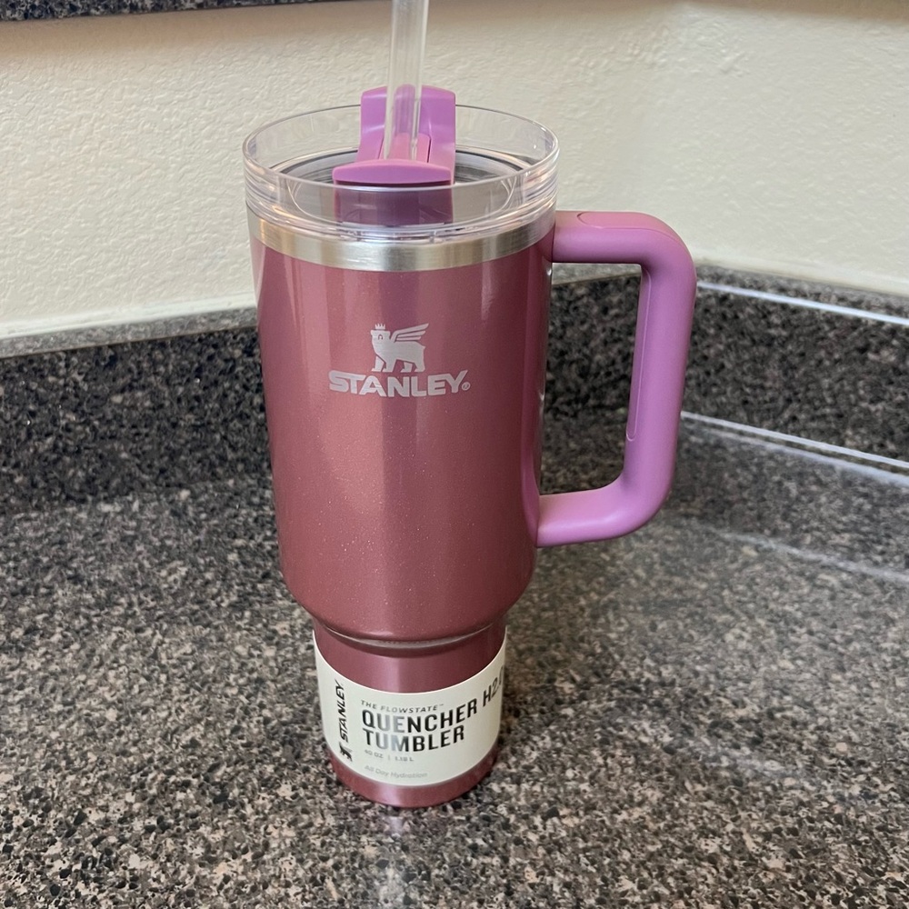 🎯🥤Stanley 40 oz Stainless Steel H2.0 Tumbler, 6/2024 Target Exclusive 🎯🥤